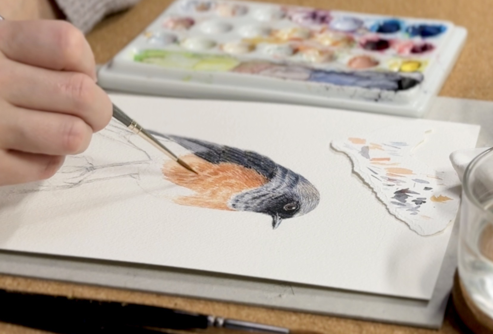 Painting a redstart with watercolors